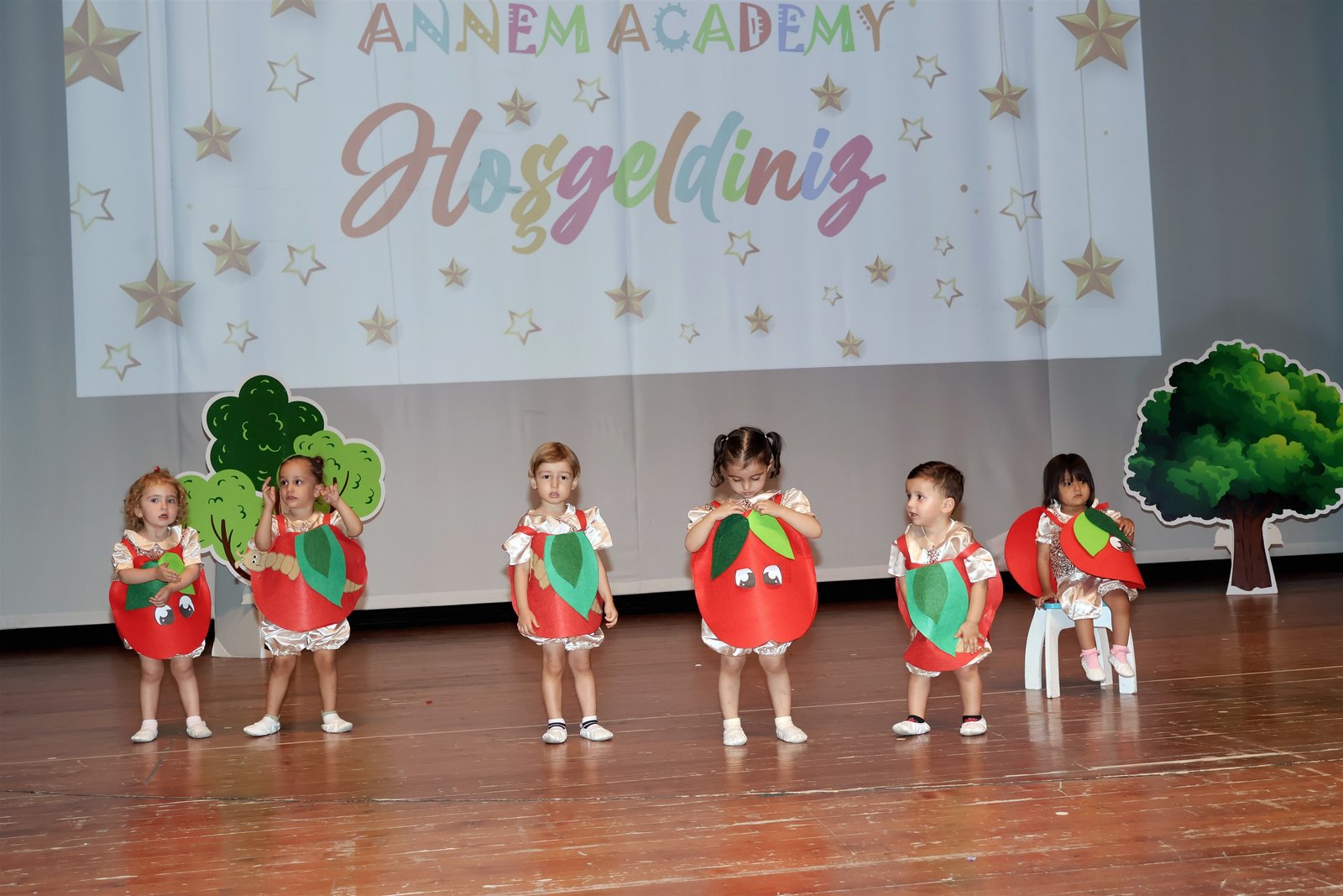 .. Galeri Görselleri